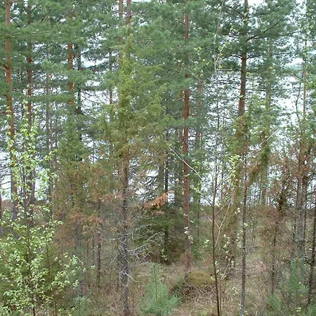 Pitkaeniemen Lomamoekit *