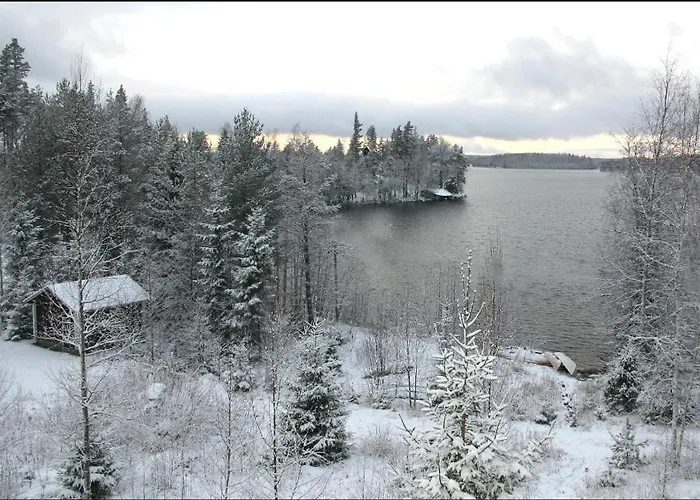 度假居 皮卡涅蒙山林小屋酒店 Joutsa